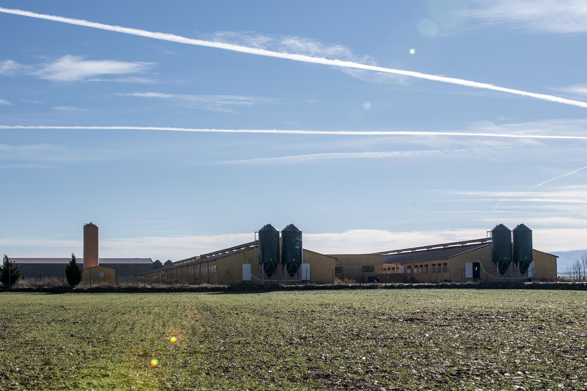 Macrogranjas Segovia - 2